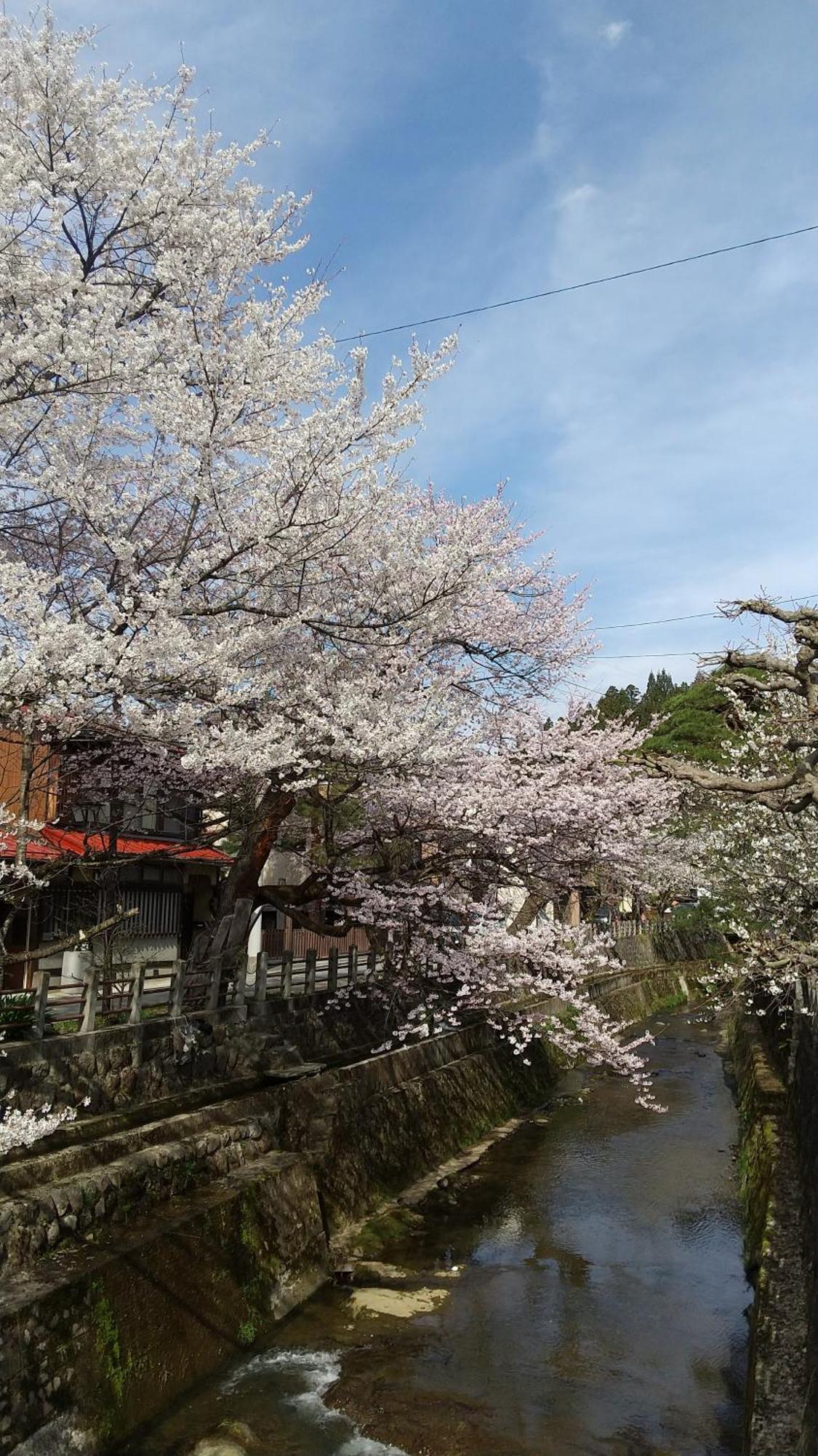 Daihachi Hotel Takayama  Buitenkant foto
